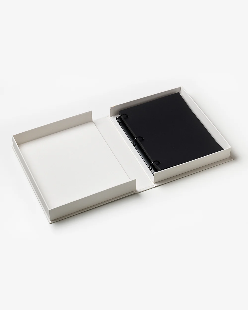 Life in Harmony - Image 3