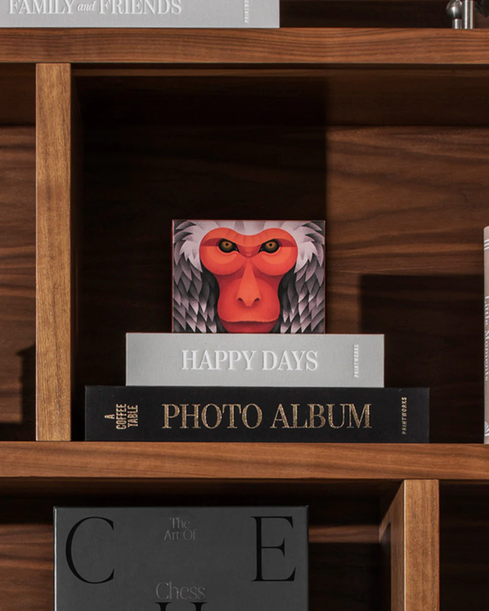 Japanese Macaque, 100 pieces - Image 5